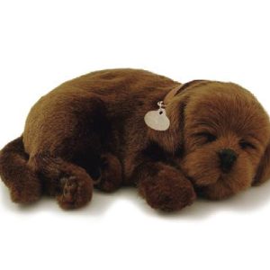 PERFECT PETZ 26CM CHOCOLAT LAB