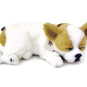 PERFECT PETZ 26CM W&T CHIHUAHUA