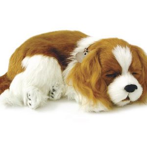PERFECT PETZ 26CM CAVALIER KING CHARLES