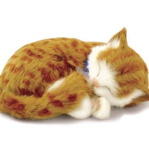 PERFECT PETZ 26CM ORANGE TABY