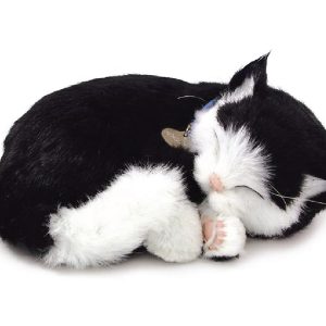 PERFECT PETZ 26CM B&W DOM SHORTHAIR