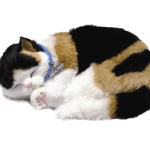 PERFECT PETZ 26CM CALICO